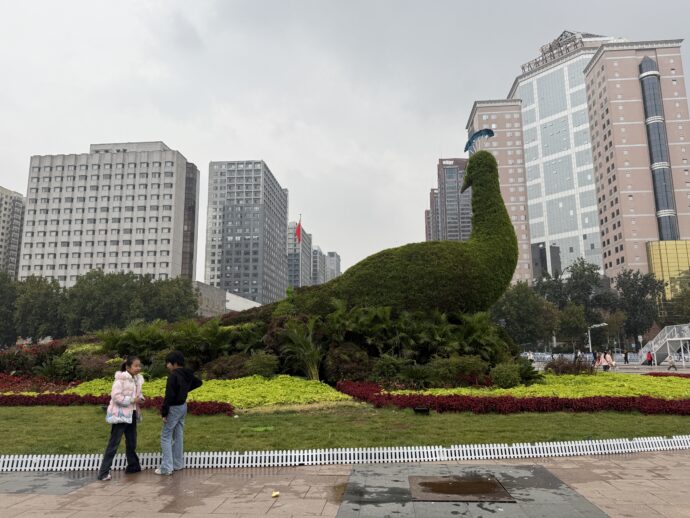 河北博物院の刈られた鳥のき