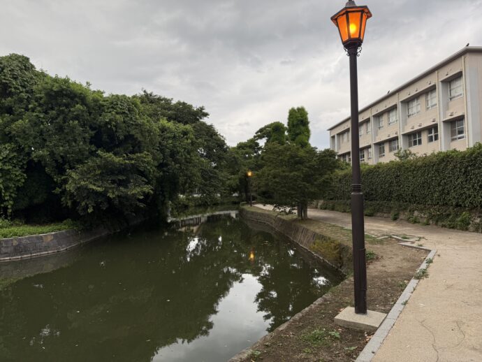 柳川水路ぞいの遊歩道