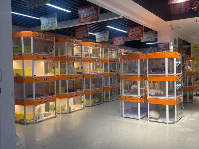 ペットショップ