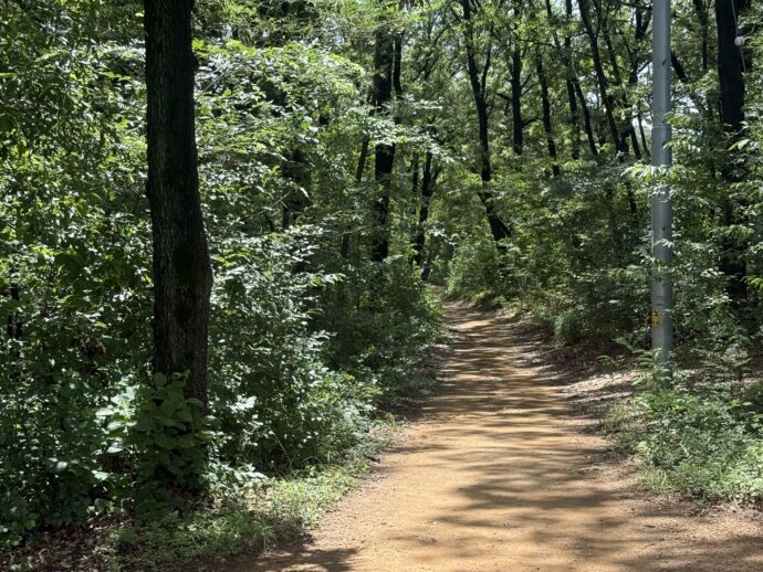 ハイキングコース