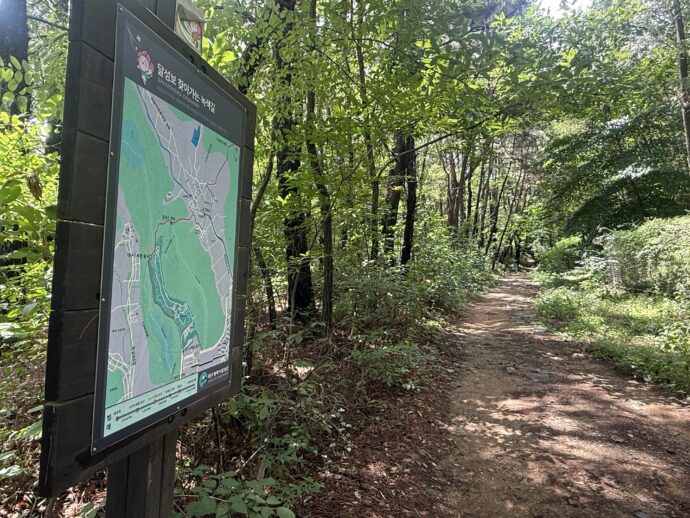 マップとコース