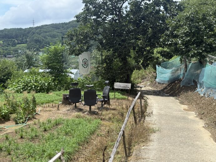 ハイキングコース