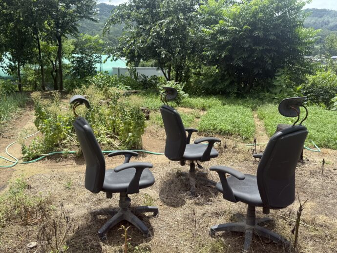 オフィスチェア