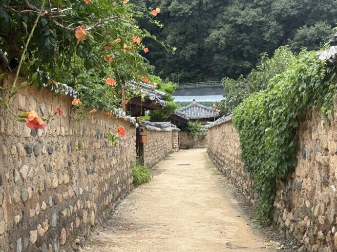 ノウゼンカズラの咲く道