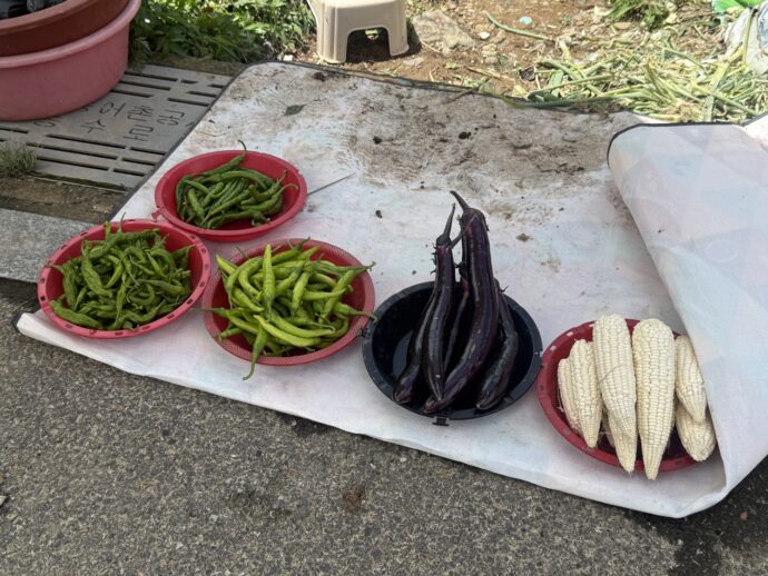 野菜の無人販売