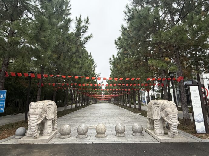 入り口までの道