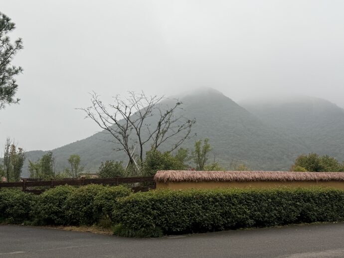 もやがかかる朝