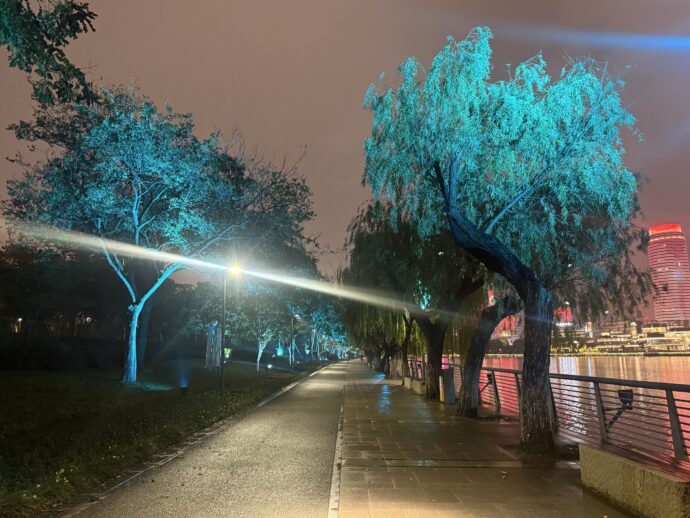 ライトアップされた並木