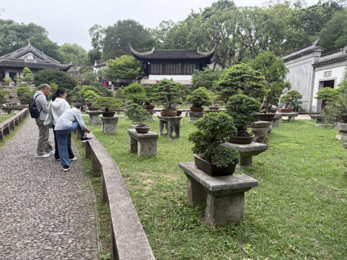 盆栽庭園