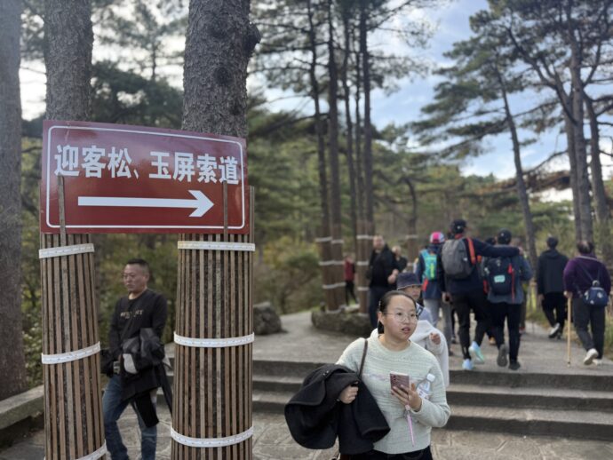 ハイキングコース