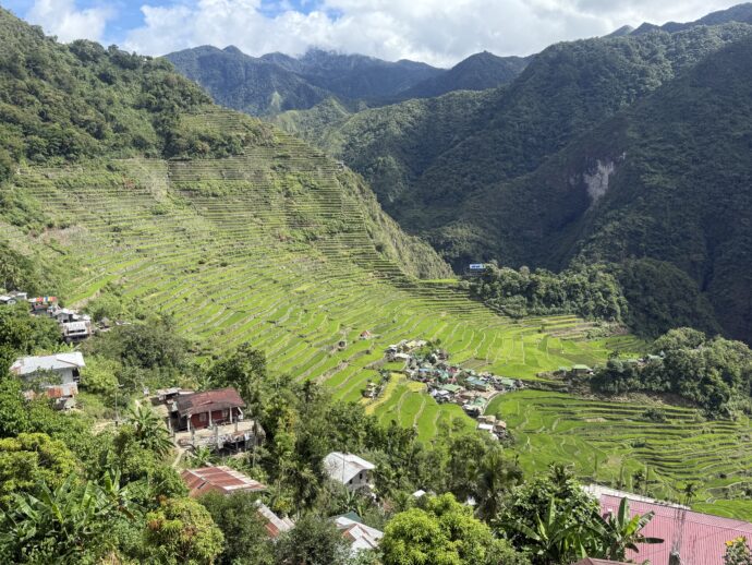 バタッドライステラス