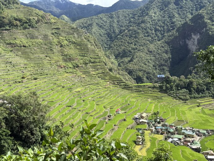 バタッドライステラス