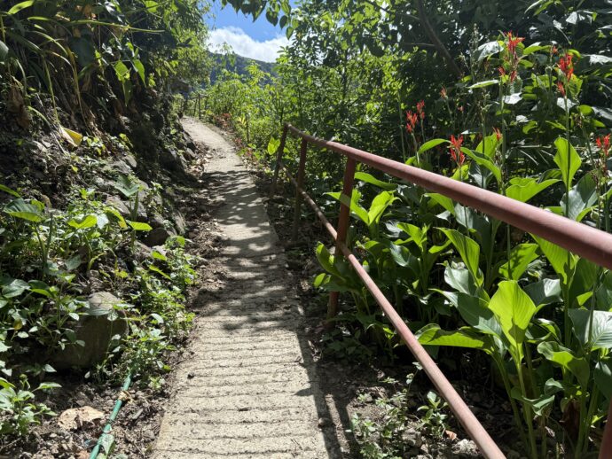 バタッドライステラスの歩道