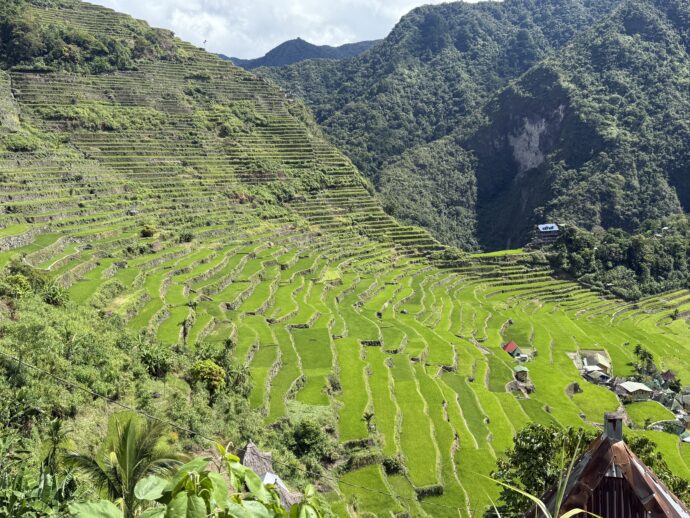 バタッドライステラス