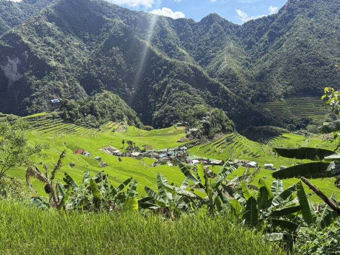 バタッドライステラスあ