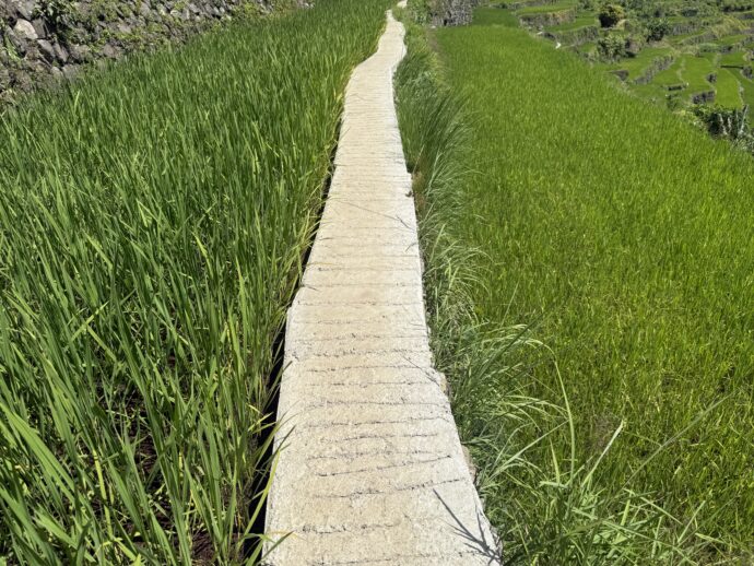 バタッドライステラスの歩道