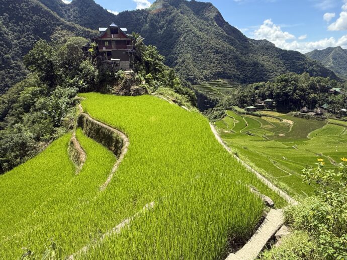 バタッドライステラス