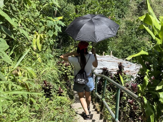 日傘をさす女の子