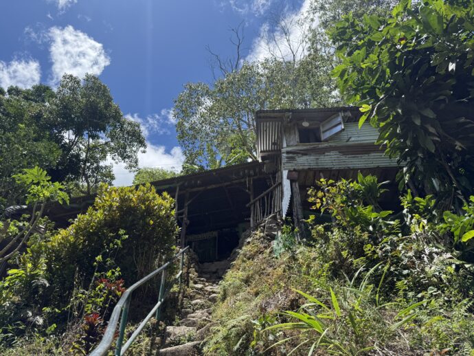 バタッドライステラスの歩道