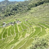 バタッドライステラス