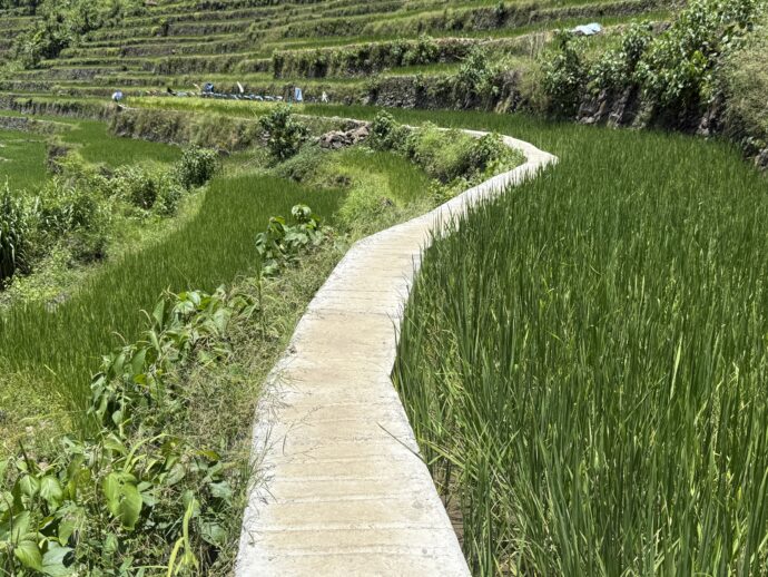 バタッドライステラスの歩道