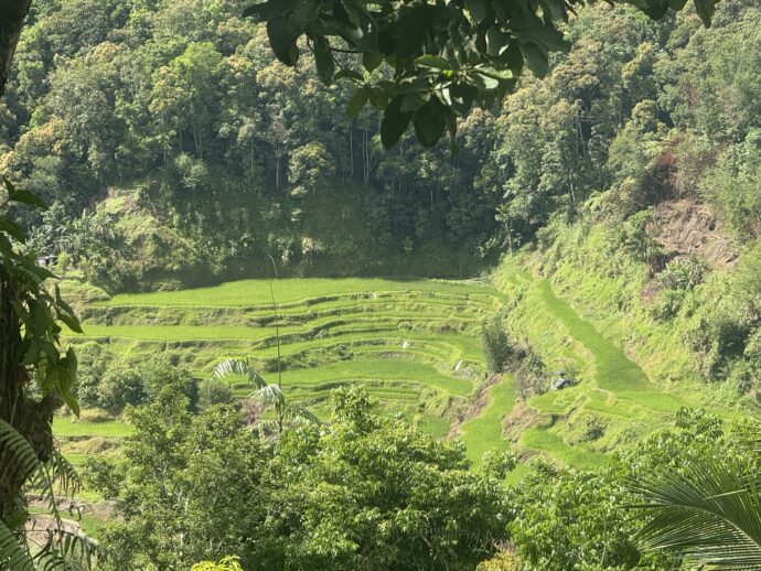バナウェの棚田