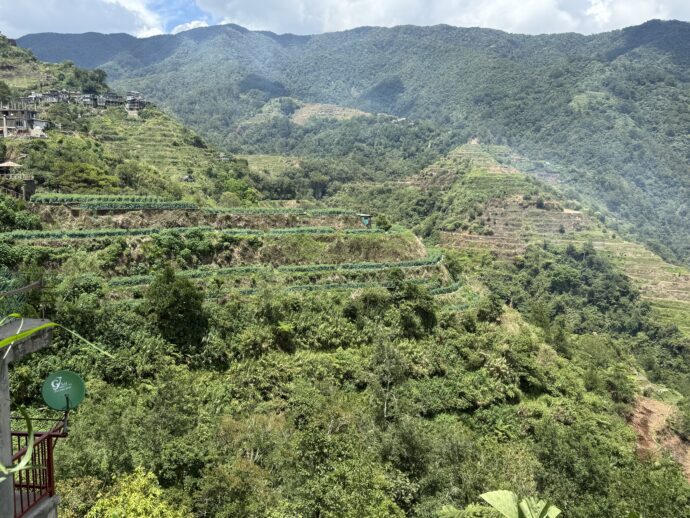 畑と化したライステラス