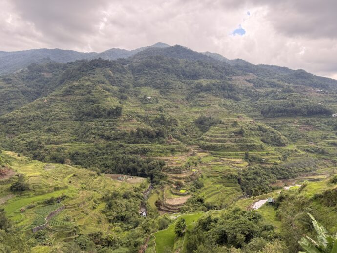 暗ライステラス