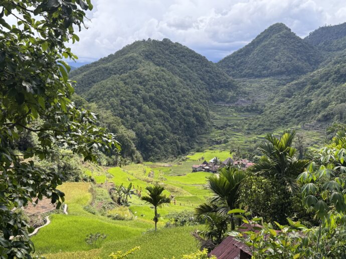 バンガアンライステラス