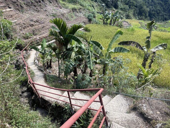 バンガアンライステラスの道