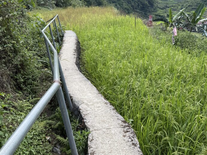 バンガアンライステラスの通路