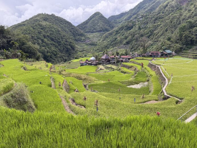 バンガアンライステラス