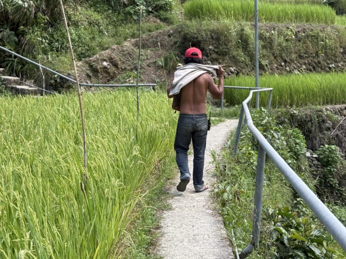 バンガアンライステラスの通路を通る男性
