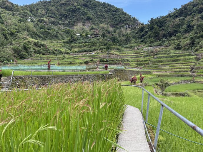バンガアンライステラスの通路
