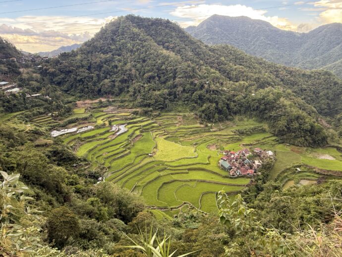 バンガアンライステラス