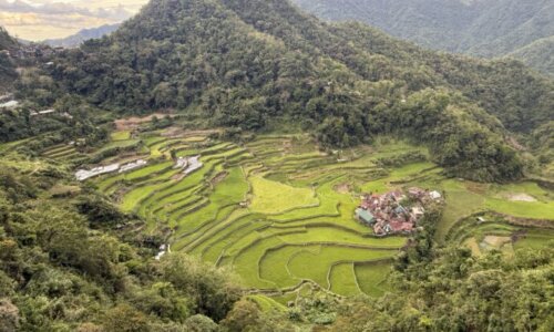 バンガアンライステラス