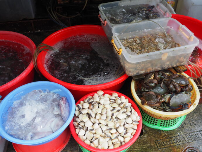 生鮮食品