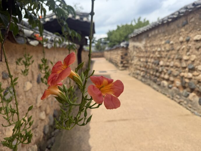 南平文氏本里世居地