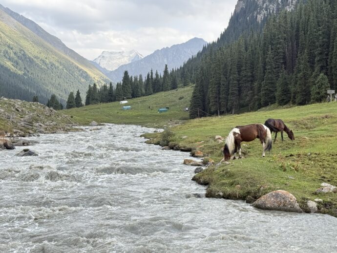 アルティン・アラシャン
