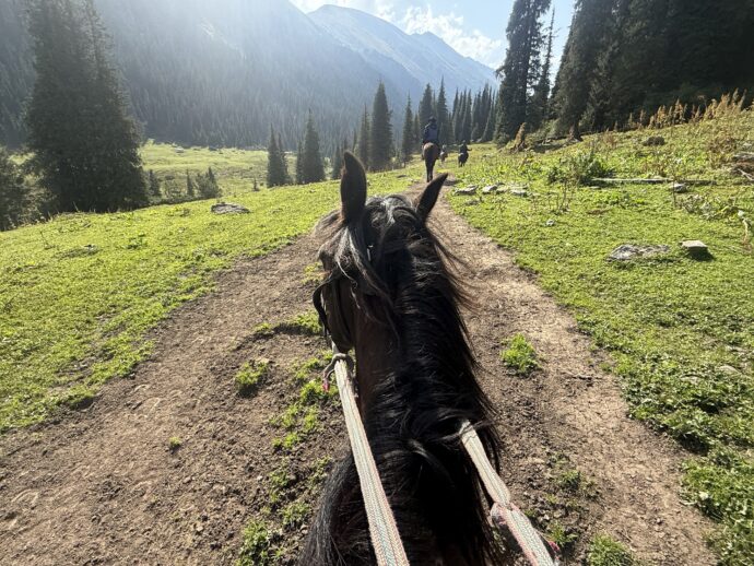 ホーストレッキング