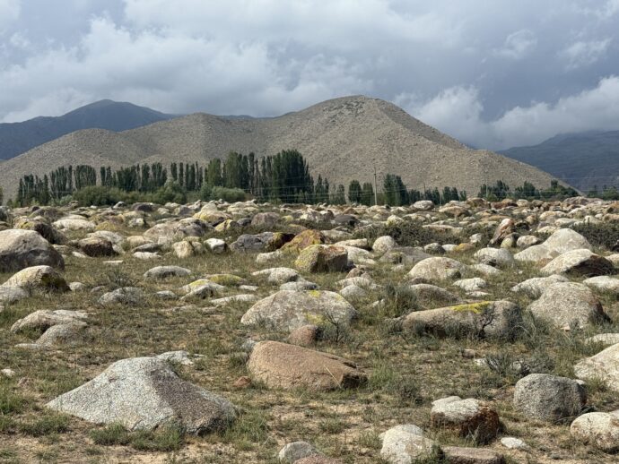 岩絵野外博物館