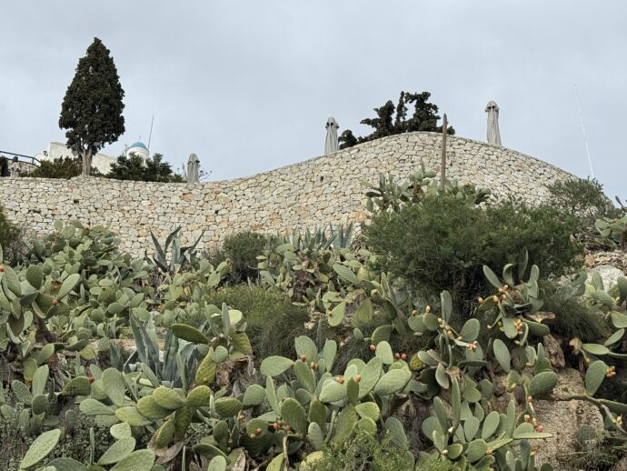城壁とサボテン