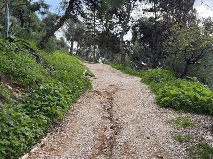 リカヴィトスの丘への上り道