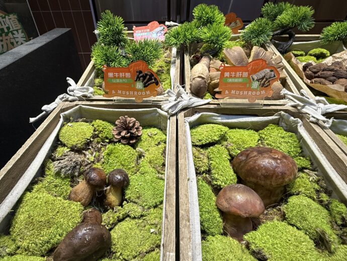 きのこカウンター