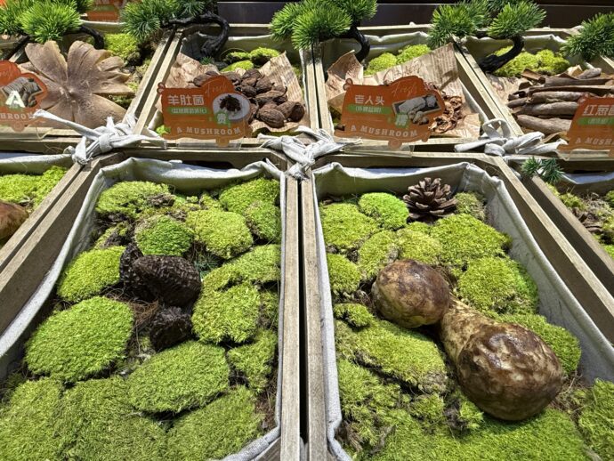 きのこカウンター