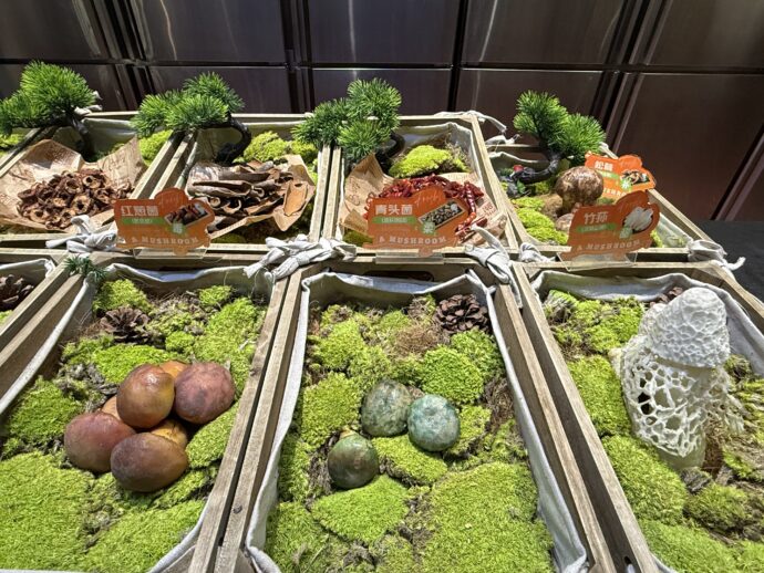 きのこカウンター