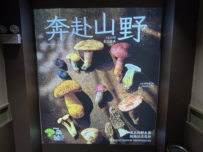 キノコのパネル