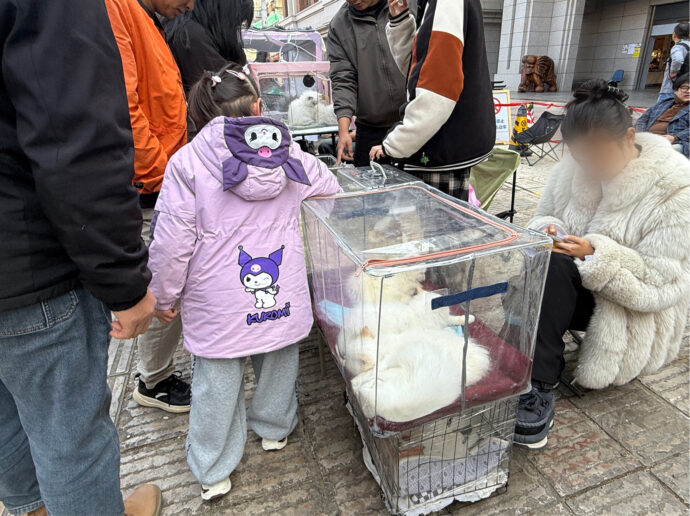 ペットを選ぶ客