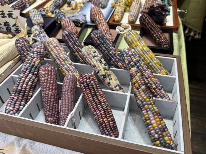 とうもろこしの飾り物