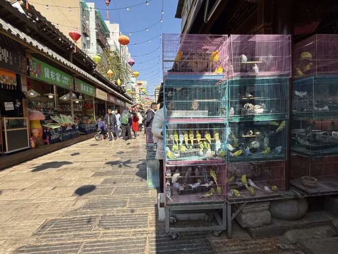 ペットショップ